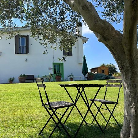 Bed And Breakfast Country Cottage Чивитавекия Екстериор снимка