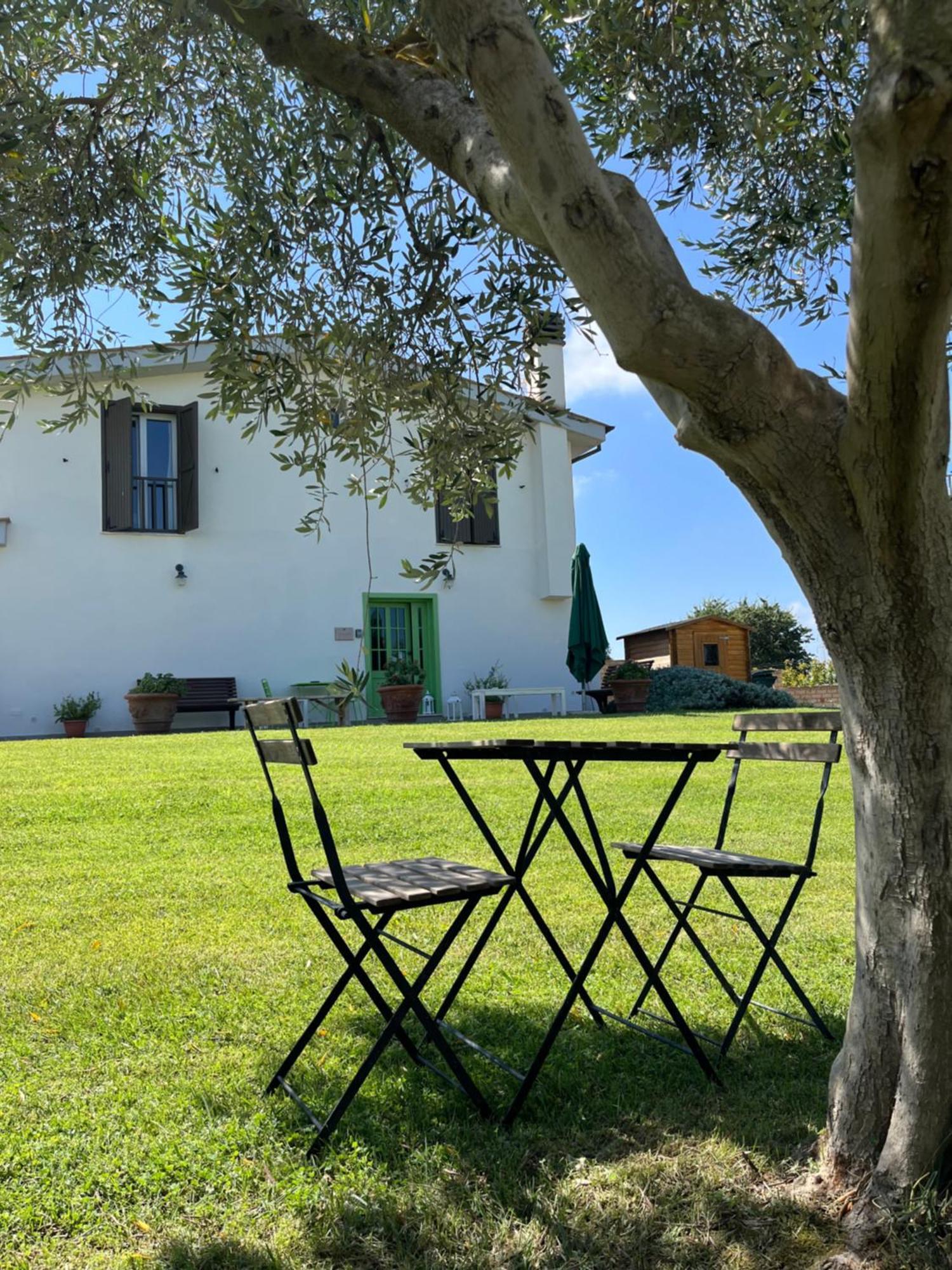 Bed And Breakfast Country Cottage Чивитавекия Екстериор снимка